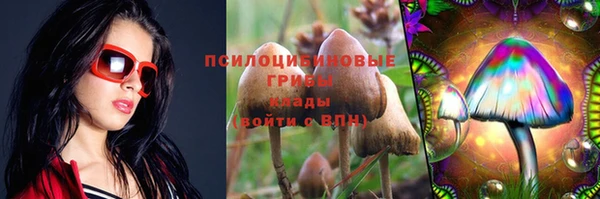 молекула духа Алексин