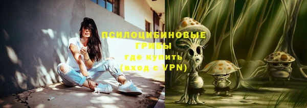 хмурый Алексеевка