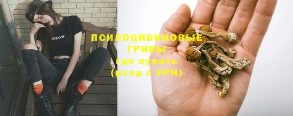 молекула духа Алексин
