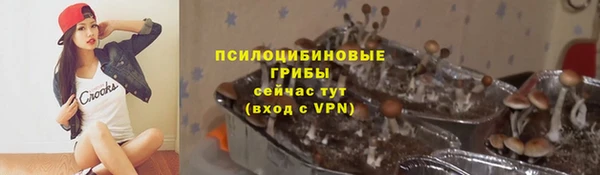 хмурый Алексеевка