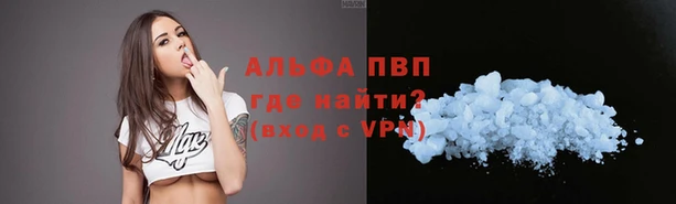 молекула духа Алексин