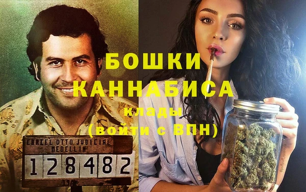 молекула духа Алексин