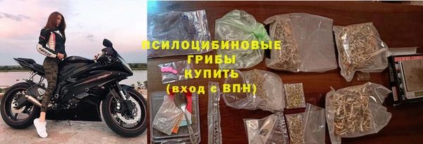 хмурый Алексеевка
