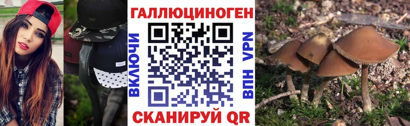 Галлюциногенные грибы Psilocybe  Фатеж 